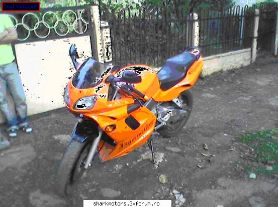 Shark Motors Club