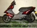 bennelii vand scoter bennelii